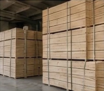 Две сушильные камеры по 50 м³